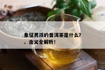 象征男孩的普洱茶是什么？、含义全解析！