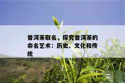 普洱茶取名，探究普洱茶的命名艺术：历史、文化和传统