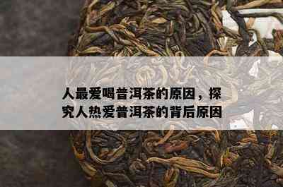 人更爱喝普洱茶的原因，探究人热爱普洱茶的背后原因