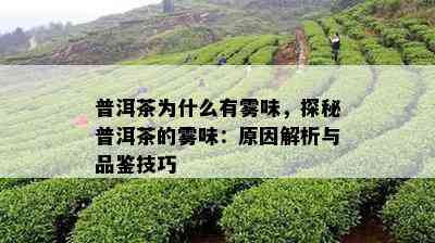 普洱茶为什么有雾味，探秘普洱茶的雾味：原因解析与品鉴技巧