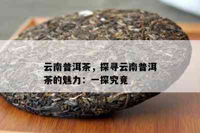 云南普洱茶，探寻云南普洱茶的魅力：一探究竟