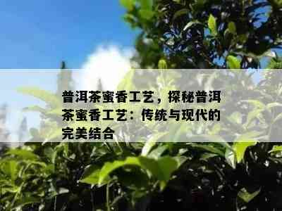 普洱茶蜜香工艺，探秘普洱茶蜜香工艺：传统与现代的完美结合