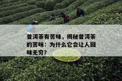 普洱茶有苦味，揭秘普洱茶的苦味：为什么它会让人回味无穷？