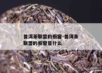 普洱茶联盟的橱窗-普洱茶联盟的橱窗是什么