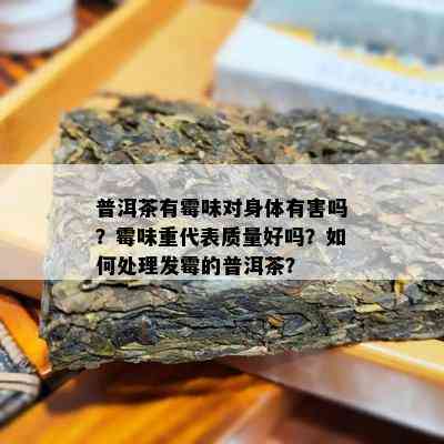 普洱茶有霉味对身体有害吗？霉味重代表质量好吗？如何处理发霉的普洱茶？