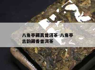 八角亭藏真普洱茶-八角亭古韵藏香普洱茶