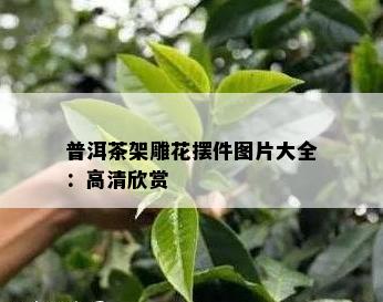 普洱茶架雕花摆件图片大全：高清欣赏