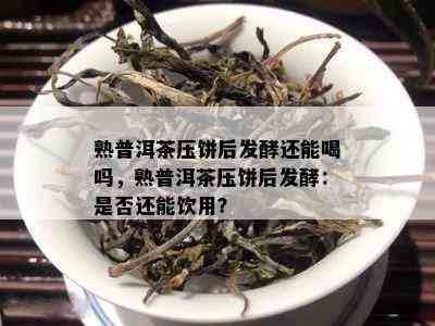 熟普洱茶压饼后发酵还能喝吗，熟普洱茶压饼后发酵：是不是还能饮用？