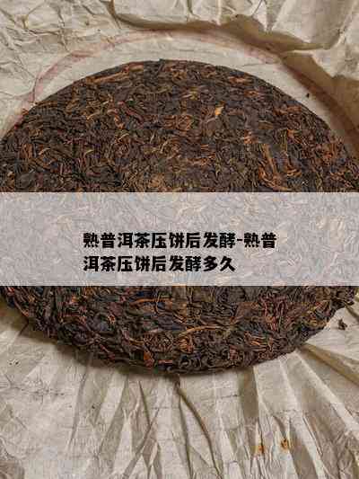 熟普洱茶压饼后发酵-熟普洱茶压饼后发酵多久