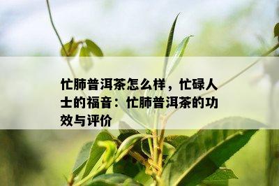 忙肺普洱茶怎么样，忙碌人士的福音：忙肺普洱茶的功效与评价