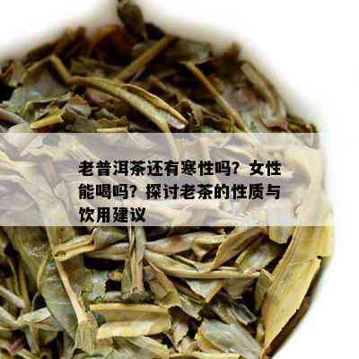 老普洱茶还有寒性吗？女性能喝吗？探讨老茶的性质与饮用建议