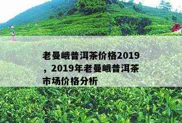 老曼峨普洱茶价格2019，2019年老曼峨普洱茶市场价格分析