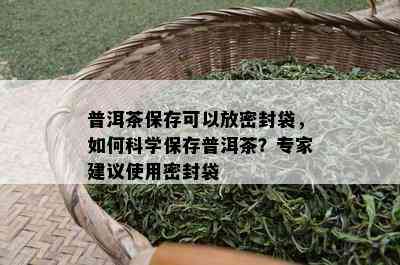 普洱茶保存可以放密封袋，怎样科学保存普洱茶？专家建议采用密封袋