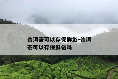 普洱茶可以存保鲜袋-普洱茶可以存保鲜袋吗