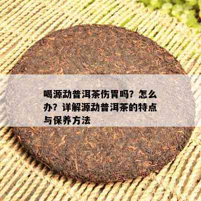 喝源勐普洱茶伤胃吗？怎么办？详解源勐普洱茶的特点与保养方法