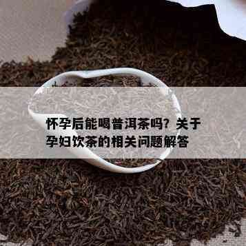 怀孕后能喝普洱茶吗？关于孕妇饮茶的相关问题解答