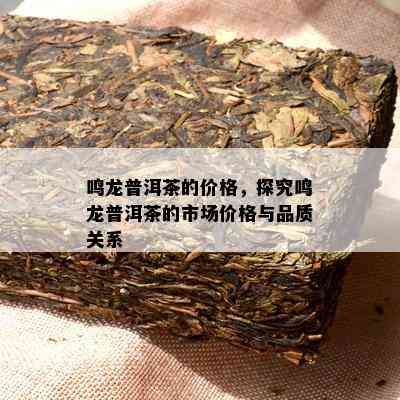 鸣龙普洱茶的价格，探究鸣龙普洱茶的市场价格与品质关系