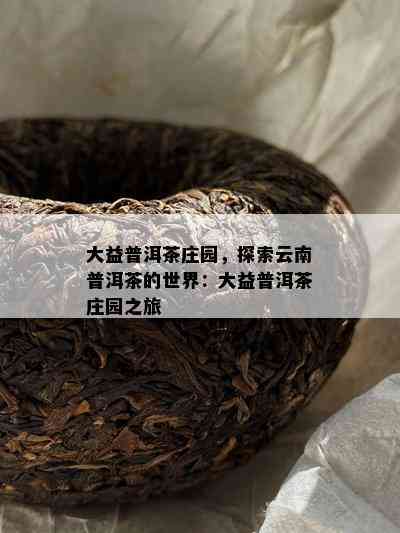 大益普洱茶庄园，探索云南普洱茶的世界：大益普洱茶庄园之旅