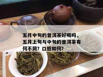 五月中旬的普洱茶好喝吗，五月上旬与中旬的普洱茶有何不同？口感如何？