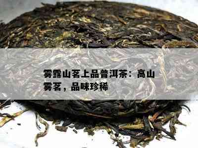 雾露山茗上品普洱茶：高山雾茗，品味珍稀