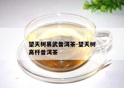 望天树易武普洱茶-望天树高杆普洱茶