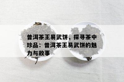 普洱茶王易武饼，探寻茶中珍品：普洱茶王易武饼的魅力与故事