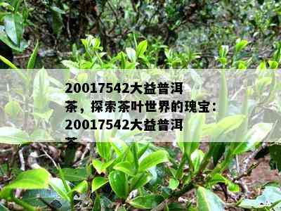 20017542大益普洱茶，探索茶叶世界的瑰宝：20017542大益普洱茶