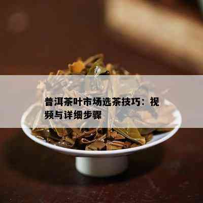 普洱茶叶市场选茶技巧：视频与详细步骤