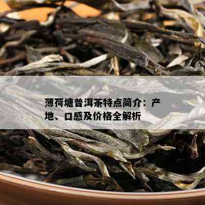 薄荷塘普洱茶特点简介：产地、口感及价格全解析