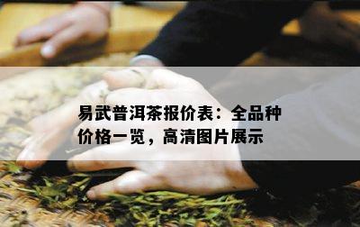 易武普洱茶报价表：全品种价格一览，高清图片展示