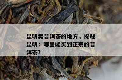 昆明卖普洱茶的地方，探秘昆明：哪里能买到正宗的普洱茶？