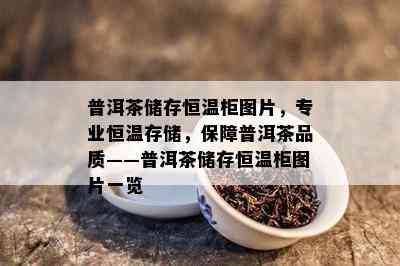 普洱茶储存恒温柜图片，专业恒温存储，保障普洱茶品质——普洱茶储存恒温柜图片一览