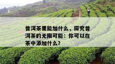 普洱茶里能加什么，探究普洱茶的无限可能：你可以在茶中添加什么？