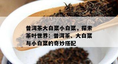 普洱茶大白菜小白菜，探索茶叶世界：普洱茶、大白菜与小白菜的奇妙搭配