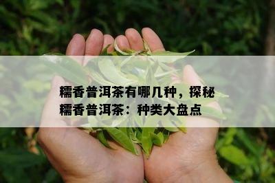 糯香普洱茶有哪几种，探秘糯香普洱茶：种类大盘点