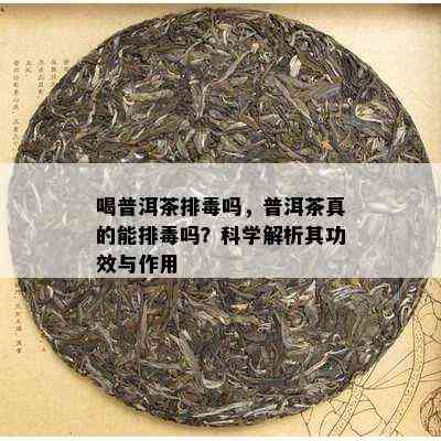 喝普洱茶排吗，普洱茶真的能排吗？科学解析其功效与作用