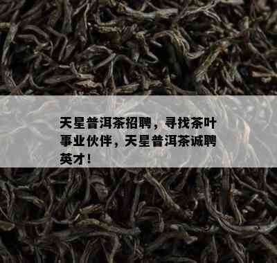 天星普洱茶招聘，寻找茶叶事业伙伴，天星普洱茶诚聘英才！