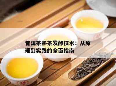 普洱茶熟茶发酵技术：从原理到实践的全面指南