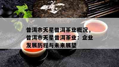 普洱市天星普洱茶业概况，普洱市天星普洱茶业：企业发展历程与未来展望