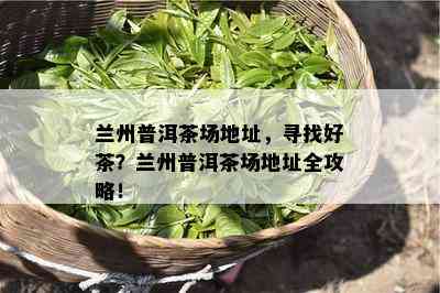 兰州普洱茶场地址，寻找好茶？兰州普洱茶场地址全攻略！