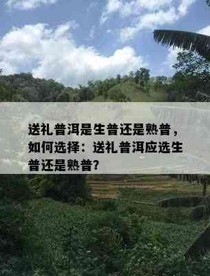 送礼普洱是生普还是熟普，怎样选择：送礼普洱应选生普还是熟普？