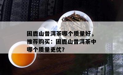 困鹿山普洱茶哪个品质好，推荐购买：困鹿山普洱茶中哪个品质更优？