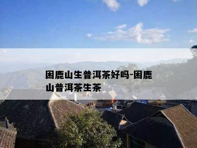 困鹿山生普洱茶好吗-困鹿山普洱茶生茶