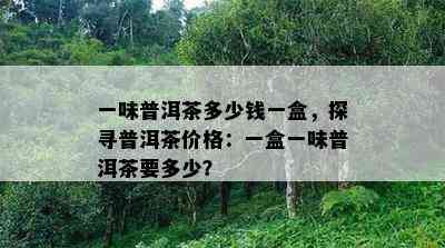 一味普洱茶多少钱一盒，探寻普洱茶价格：一盒一味普洱茶要多少？