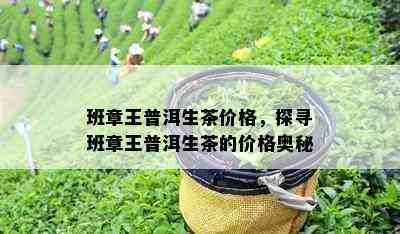 班章王普洱生茶价格，探寻班章王普洱生茶的价格奥秘