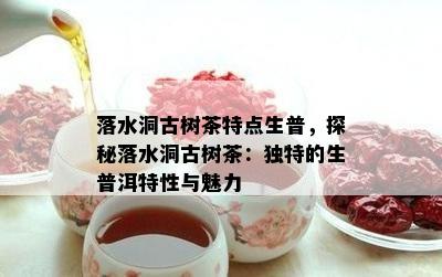 落水洞古树茶特点生普，探秘落水洞古树茶：独特的生普洱特性与魅力