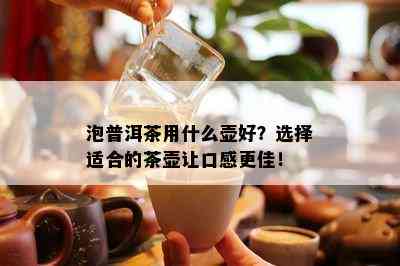 泡普洱茶用什么壶好？选择适合的茶壶让口感更佳！