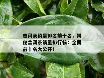 普洱茶销量排名前十名，揭秘普洱茶销量排行榜：全国前十名大公开！