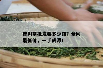 普洱茶批发要多少钱？全网更低价，一手货源！