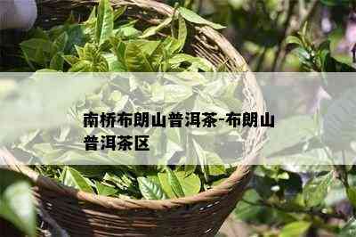 南桥布朗山普洱茶-布朗山普洱茶区